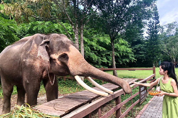 泰国旅游攻略大全(泰国旅游攻略大全免费)