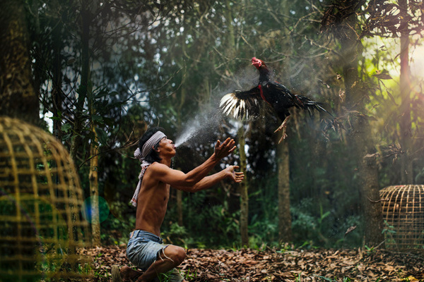 去泰国旅行社报价多少合适(去泰国旅行社报价多少合适呢)