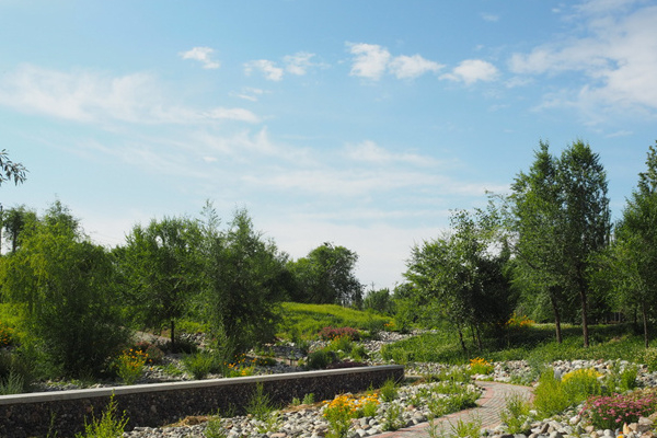 新疆旅游攻略跟团攻略(新疆旅游攻略跟团攻略大全)