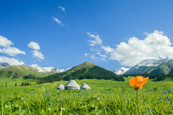 2022新疆旅游攻略(2021年新疆旅游攻略)