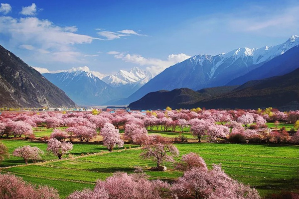 西藏旅行社哪家好(西藏旅行社排名西藏旅行社哪家好)